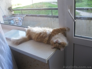 Срочный ремонт дверей Киев,  ремонт металлопластиковых и алюминиевых дверей #1266437