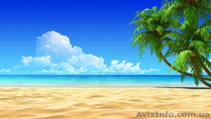 Туристическое агентство  Афина  #105571