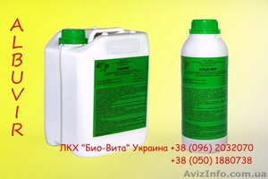 Противовирусный препарат Альбувир  #1261051