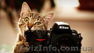 Академия фотографии Чернигове. Сегодня доступной цене Звоните  #1266158