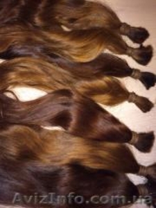 Дорого покупаю волосы. Самые большие цены. #1260650