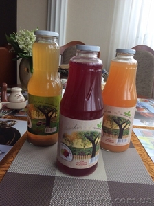 Натуральные соки  #1263376