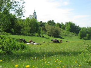 Cдам жилье на лето,  экотуризм,  речка Сула в 10 минутах,  г. Лубны. #1264498