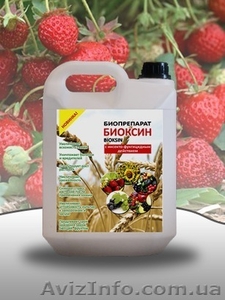 Удобрения для клубники,  лучшие цены от производителя,  курьерская доставка по Укр #1259906