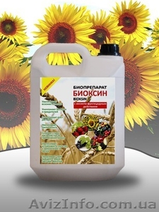 удобрения для урожайности рапса и подсолнуха #1259910