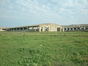 Продам кошару-строение и землю с водоемом #1268029