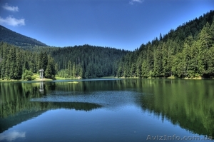 Детский лагерь 