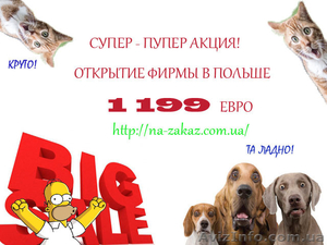  Регистрация бизнеса в Польше. Самая низкая цена. #1269412