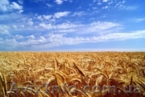 Селитра аммиачная,  карбамид,  нитроаммофос,  КАС 32, выгодная цена с доставкой #1263462