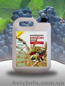 Биологический фунгицид для подавления грибных заболеваний в почве и на растениях #1259909