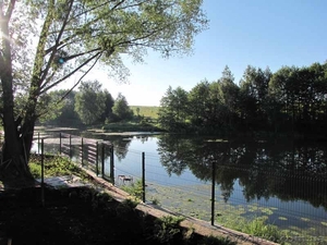 Забор из сетки для дачи. Сварное ограждение секционного типа Рубеж 3D #1167080