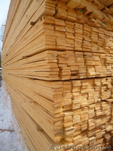 Компанія купує обрізну дошку з хвойних порід #1278319