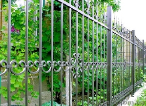 Купить забор для дачи кованый,  ограждение кованое металлическое Киев #1177445