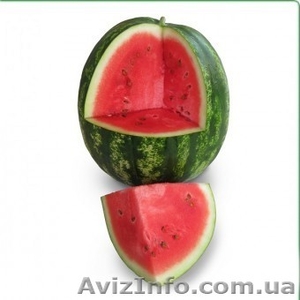 Семена арбуза KS 24 F1 (Китано) #1274628
