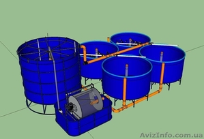 Домашняя осетровая ферма 600 кг. #1281153