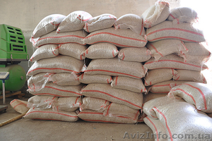 Продаём экологически чистую фасоль  из  Киргизии!!! #1274526