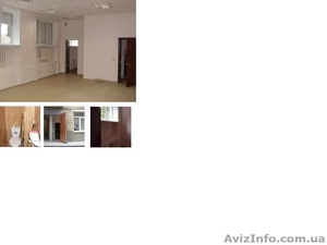 Сдам офис недорого (владелец) #1280122