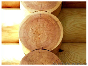 Лакокрасочные материалы #1273004