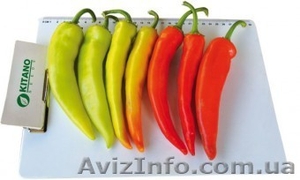 Семена горького перца KAMPAI F1 / КАМПАЙ F1 (Китано) #1274656