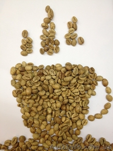 Зеленый кофе Робуста Вьетнам 1 сорт #1276893