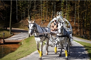 Экскурсия в Воеводино