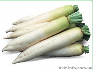 Семена редиса дайкон TITAN / ТИТАН (Китано) #1278777