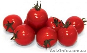 Семена томата CONORY F1 / КОНОРИ F1 фирмы Китано #1274654