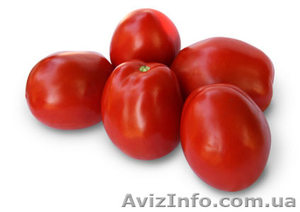 Семена томата KS 720 F1 фирмы Китано #1277203