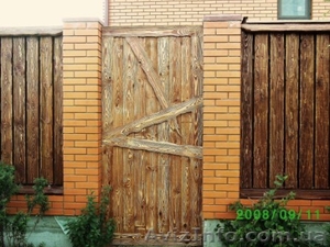 Cтарение дерева #1283899