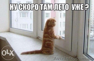 Срочный ремонт окон,  дверей,  ролет Киев,  Харьковский,  Позняки,  Осокорки,  без вых #1287246