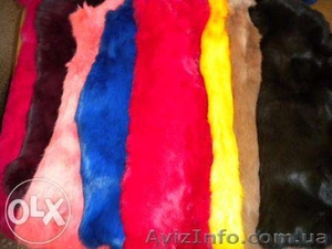 Двухнедельные курсы меховщиков и кожевников #1295544