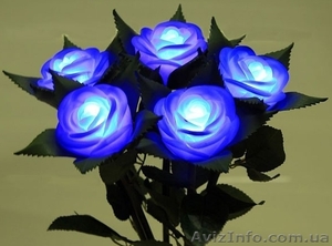 Светящаяся роза ночник,  светящаяся роза купить,  светящиеся цветы,  Киев #1288680