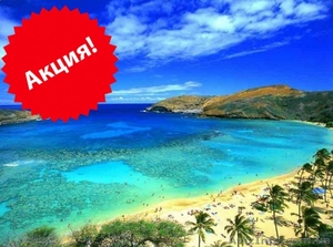 Акция на регистрацию компании в юрисдикции Белиз и открытие счета  #1285858