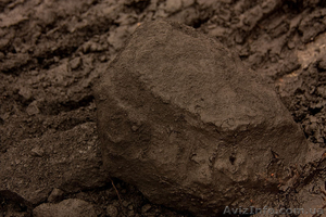 Энергетическая – Инвестиционная Компания предлагает бурый уголь #1295249