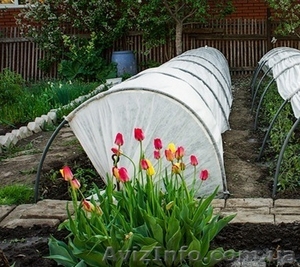 Продажа теплиц и парников для дачи и огорода с доставкой по всей Украи #1287195