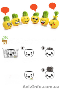 Купить травянчики оптом,  травянчик смайлик,  купить,  травянчик #1288689