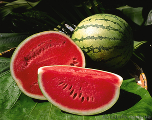 Продам херсонский сладкий арбуз #1290499