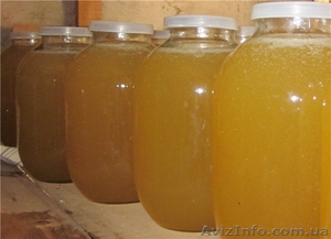 Продаю смачний мед,  викачаний 05 липня 2015 р.  #1285764