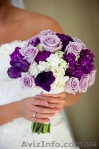 Тамада та ведуча свят у Вінниці та у Вінницькій області #1285772