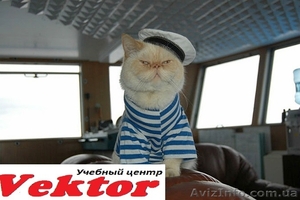 Курсы английского языка для моряков. Херсон. Обучение английского языка в Херсон #1292661