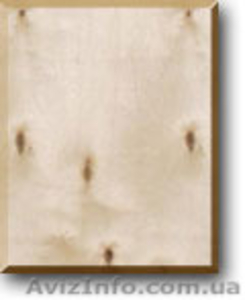 Фанера строительная 2500х1250 мм #1289856