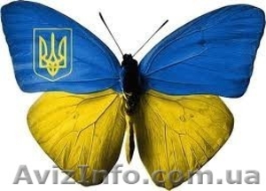 Товары украинского производства от производителя #1284803