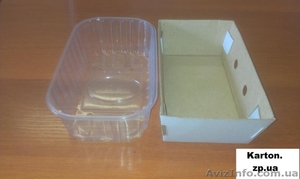 Бокс для ягод (панетка). #1223075