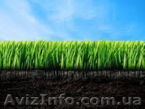 Купить чернозем Киев и Киевская область недорого доставка #1295210