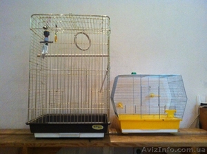 Клетки для птиц #1295336