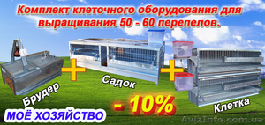 Комплект клеточного оборудования для выращивания перепелов. #1290475