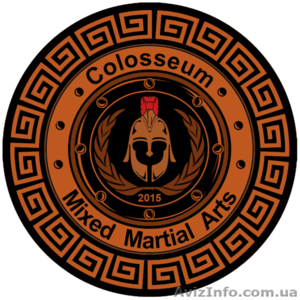 Микс Файт (ММА),  г. Киев #1291752