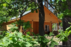 Активный семейный отдых на берегу Десны #1292366