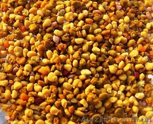 Продаю цветочную пыльцу #1295414