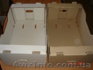 Ящик,  Лоток,  Евротара для помидоров (огурец,  перец) #1292827